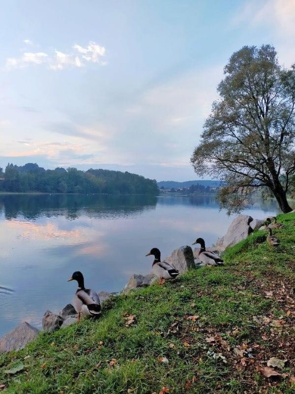 Your Place By The Lake - Near Leonardo Academy, Mxp Sesto Calende Luaran gambar